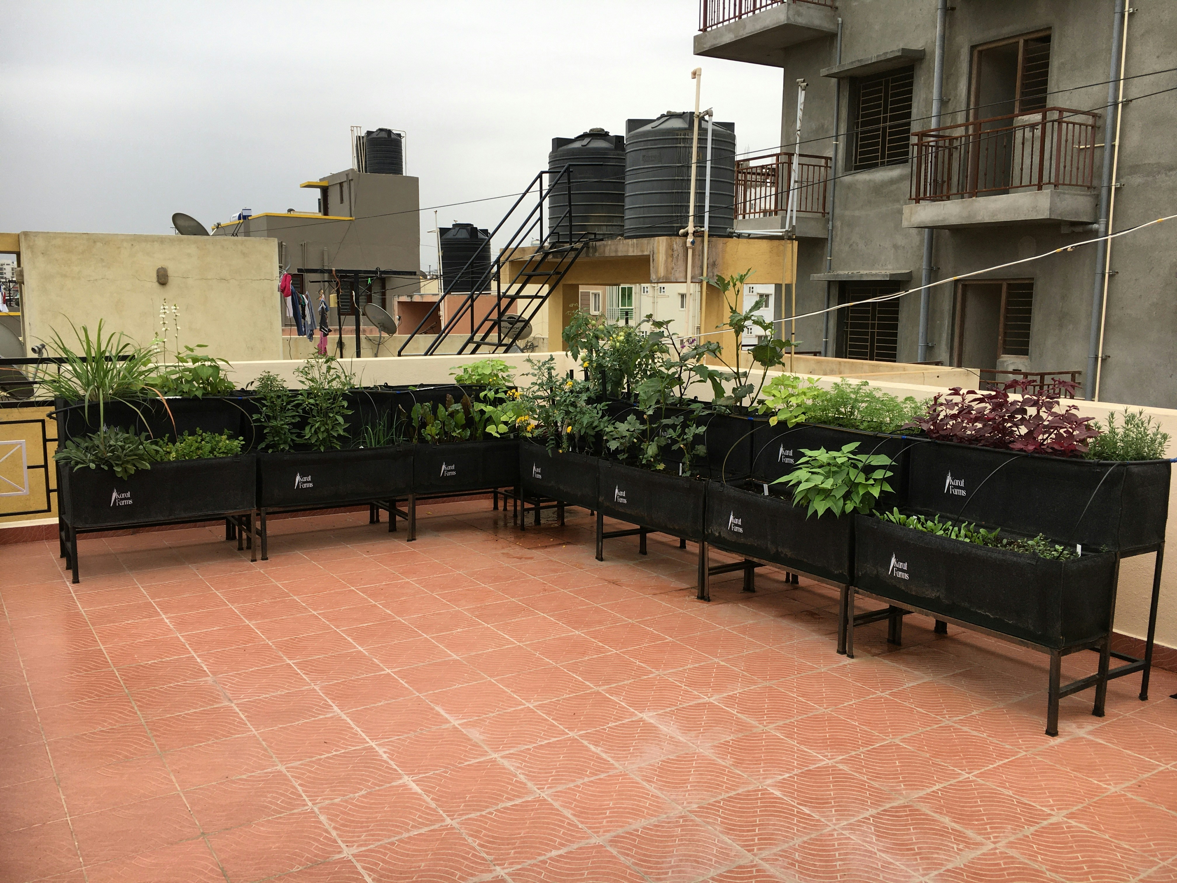 Alpine raised bed on rooftop
