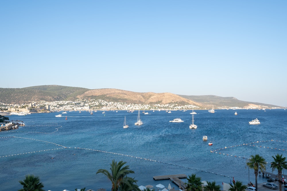 a group of boats floating on top of a body of water