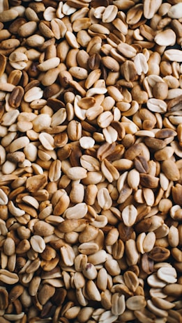a close up of a pile of seeds