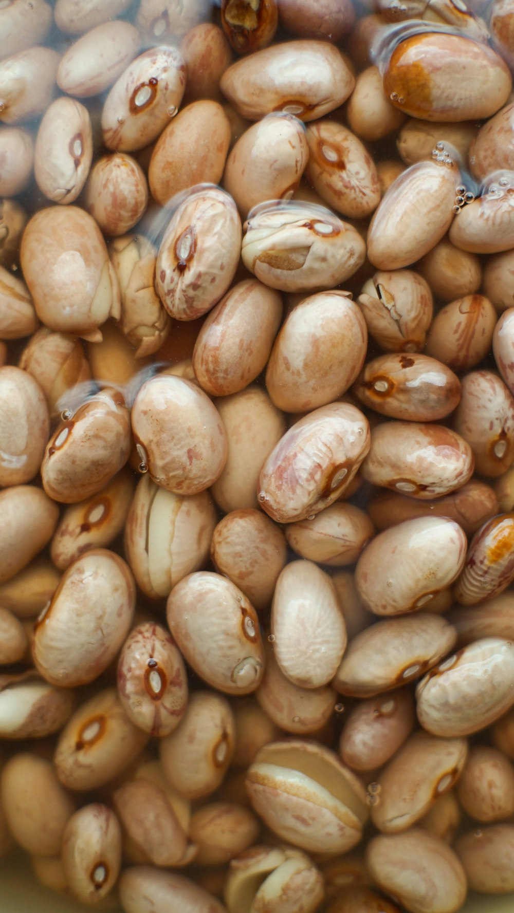 a close up of a bowl of beans