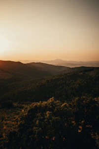 Wide serene landscape with lush greenery and soft sunlight symbolizing health and balance.