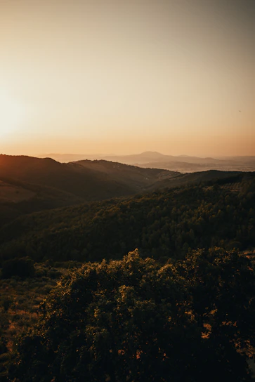 Wide serene landscape with lush greenery and soft sunlight symbolizing health and balance.