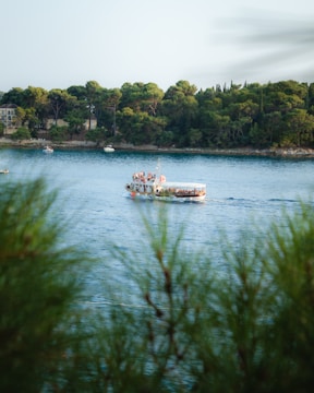 A scenic view of a boat gliding through calm waters surrounded by lush greenery.