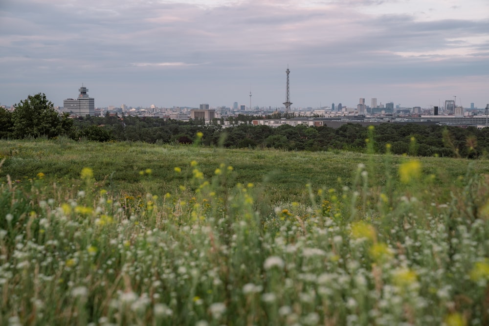 a field with tall buildings in the background