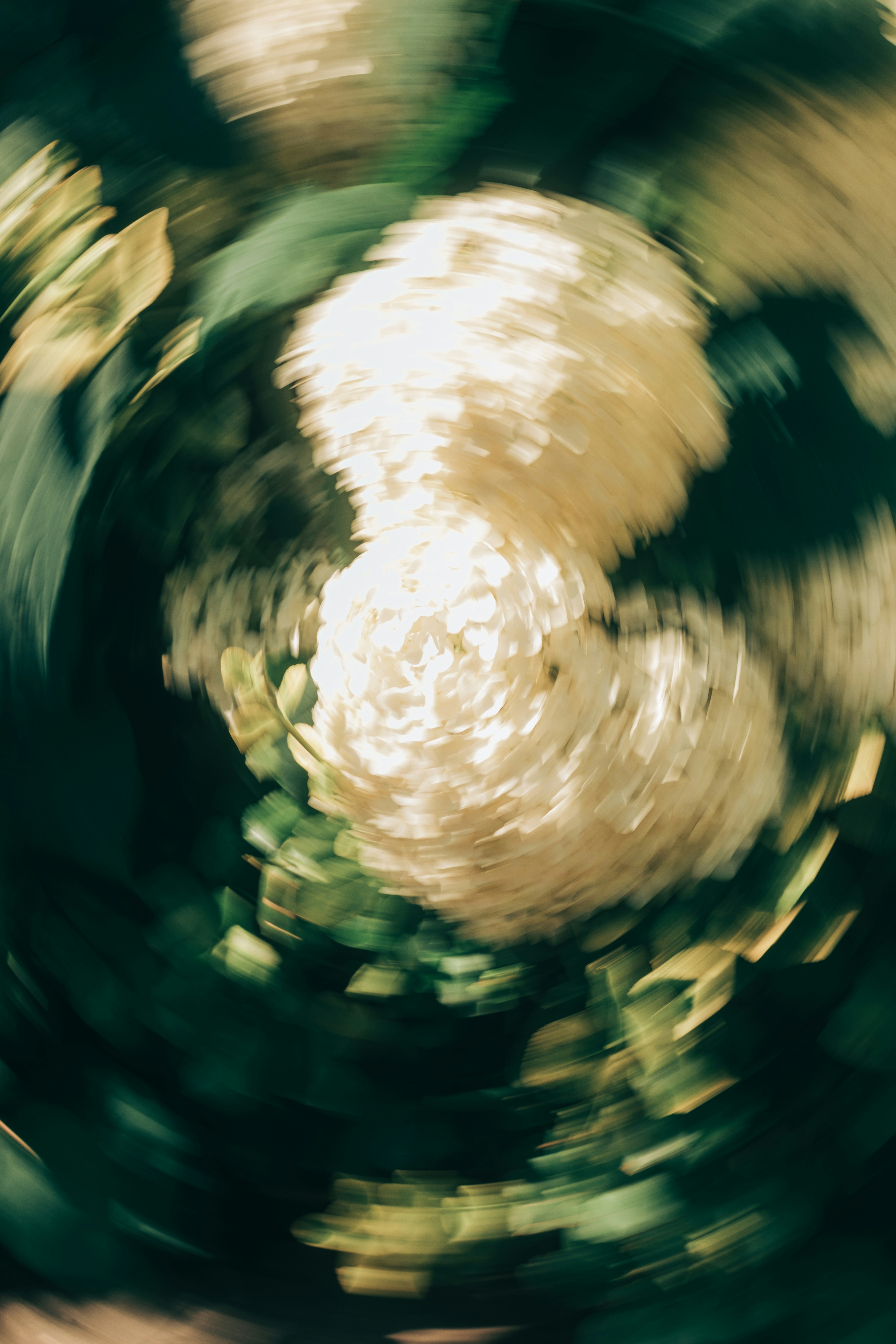 a blurry photo of a white and green object