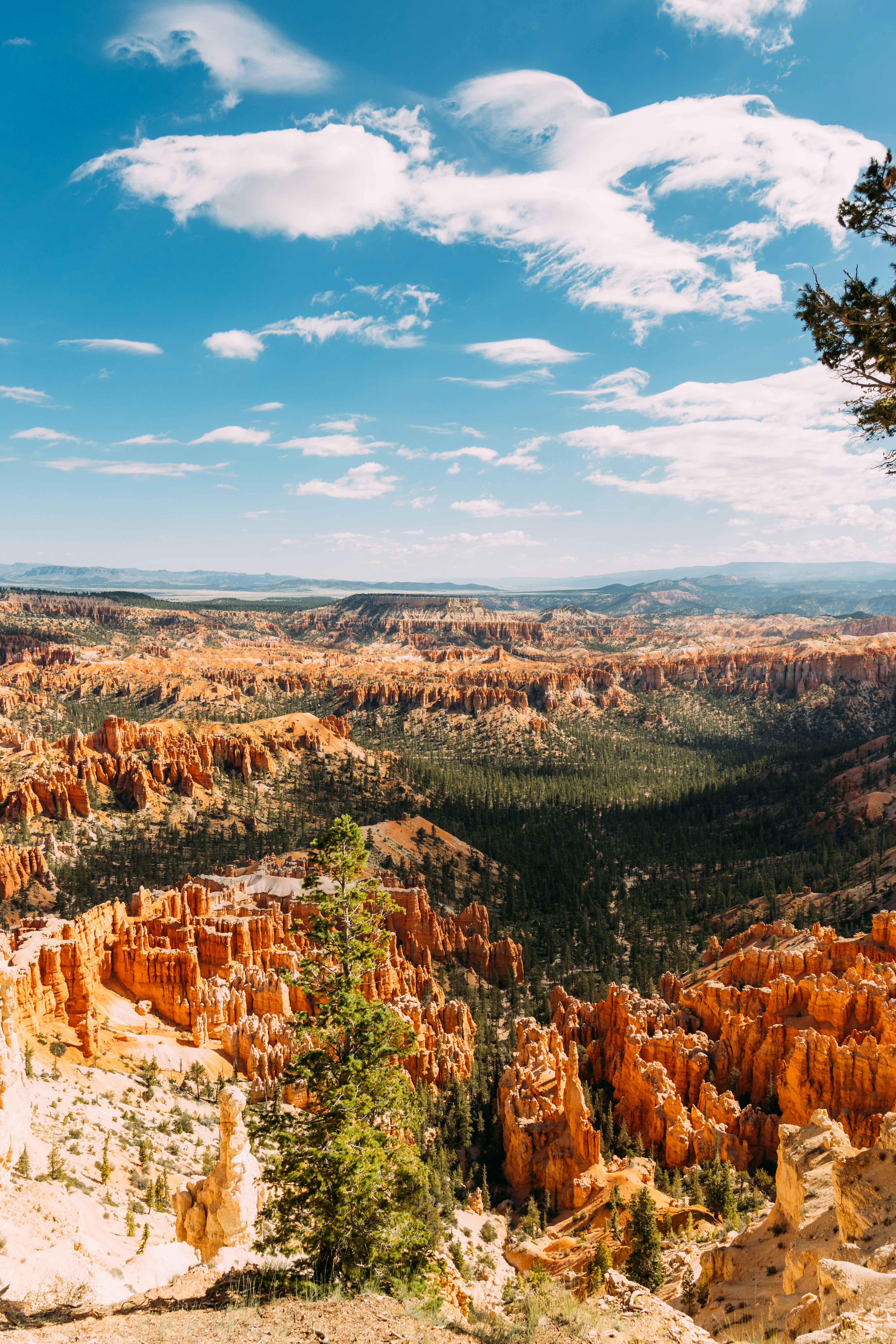 Photo by brechtdenil