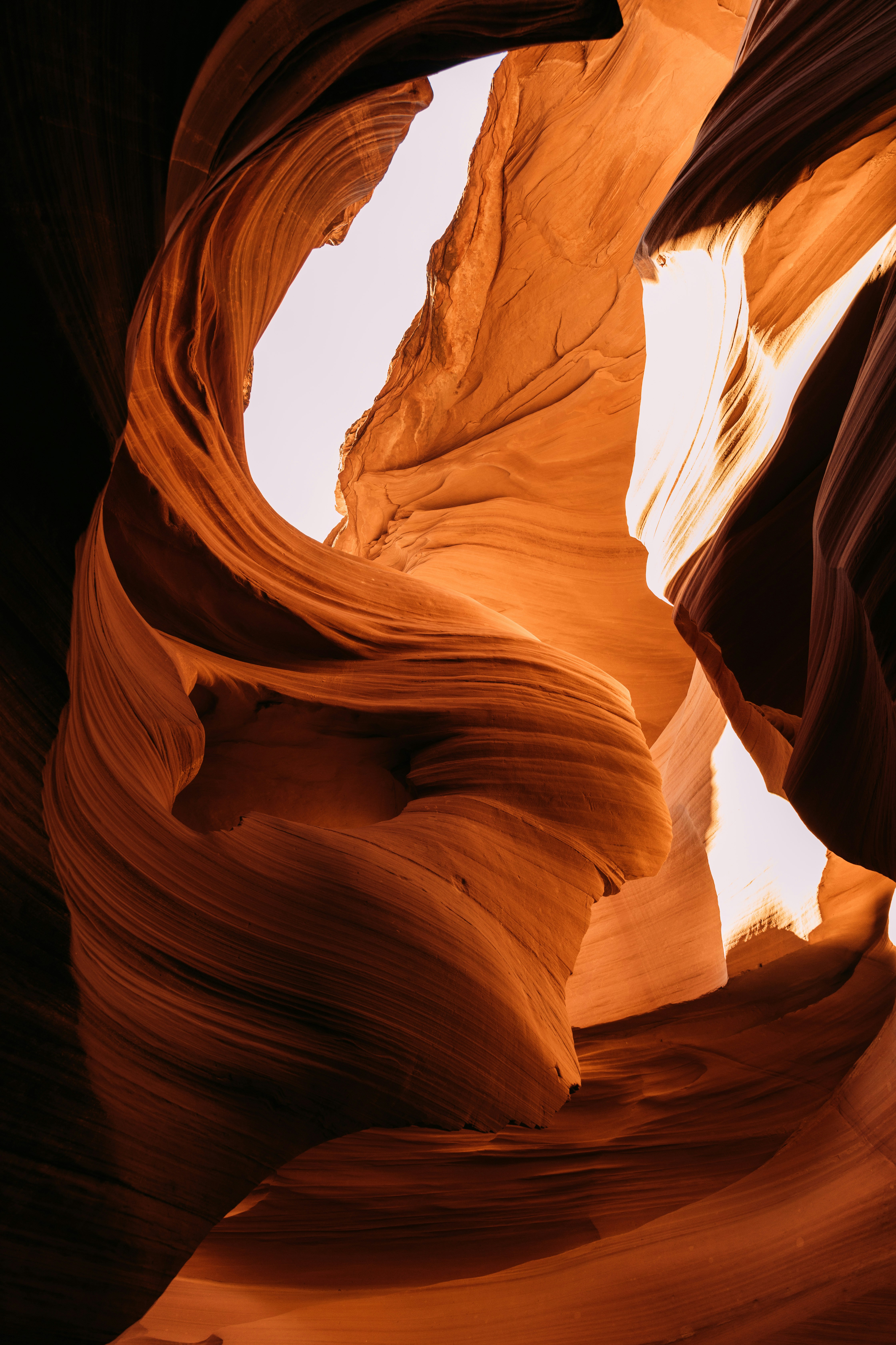 Photo by brechtdenil