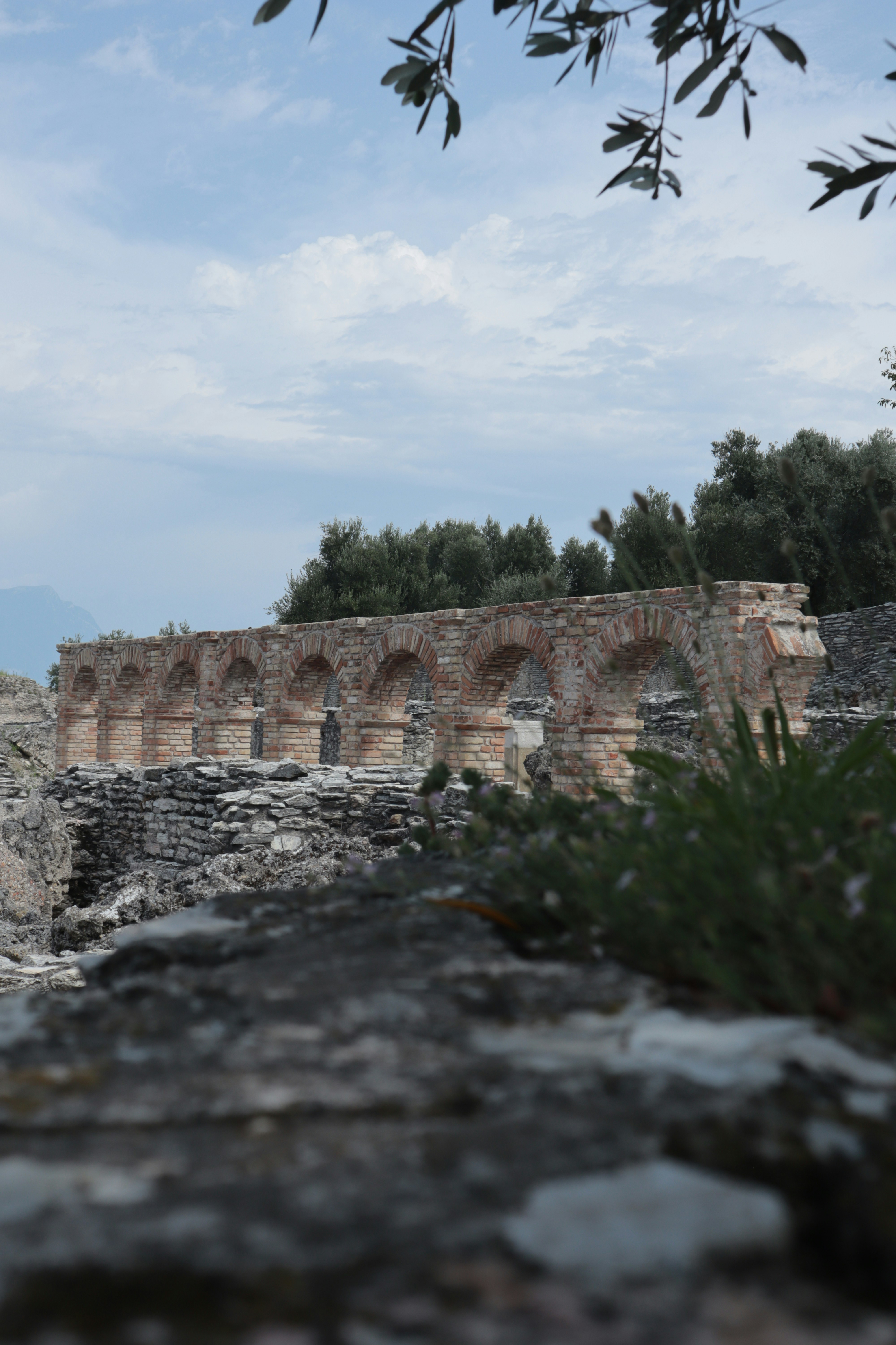 Photo by kccreations