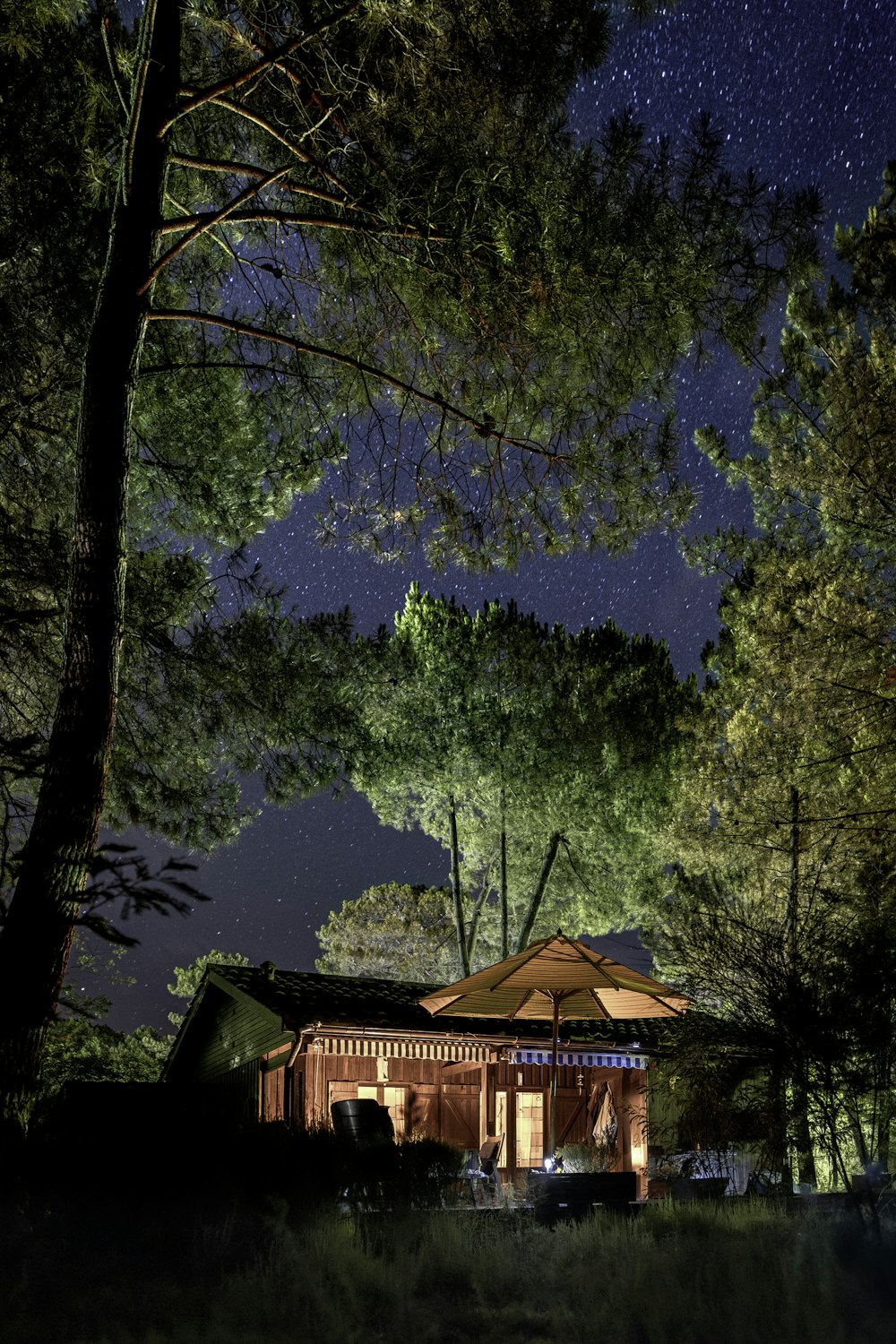 밤에 숲 한가운데에 있는 오두막