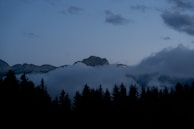 A serene mountain landscape with mist rolling over pine trees.