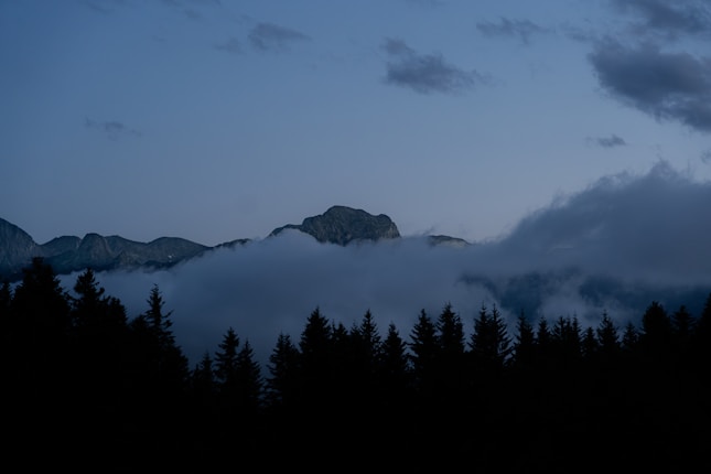 A serene mountain landscape with a silhouette of pine trees in the foreground. Mist and clouds partially obscure the hills and peaks in the background, under a dim, overcast sky.