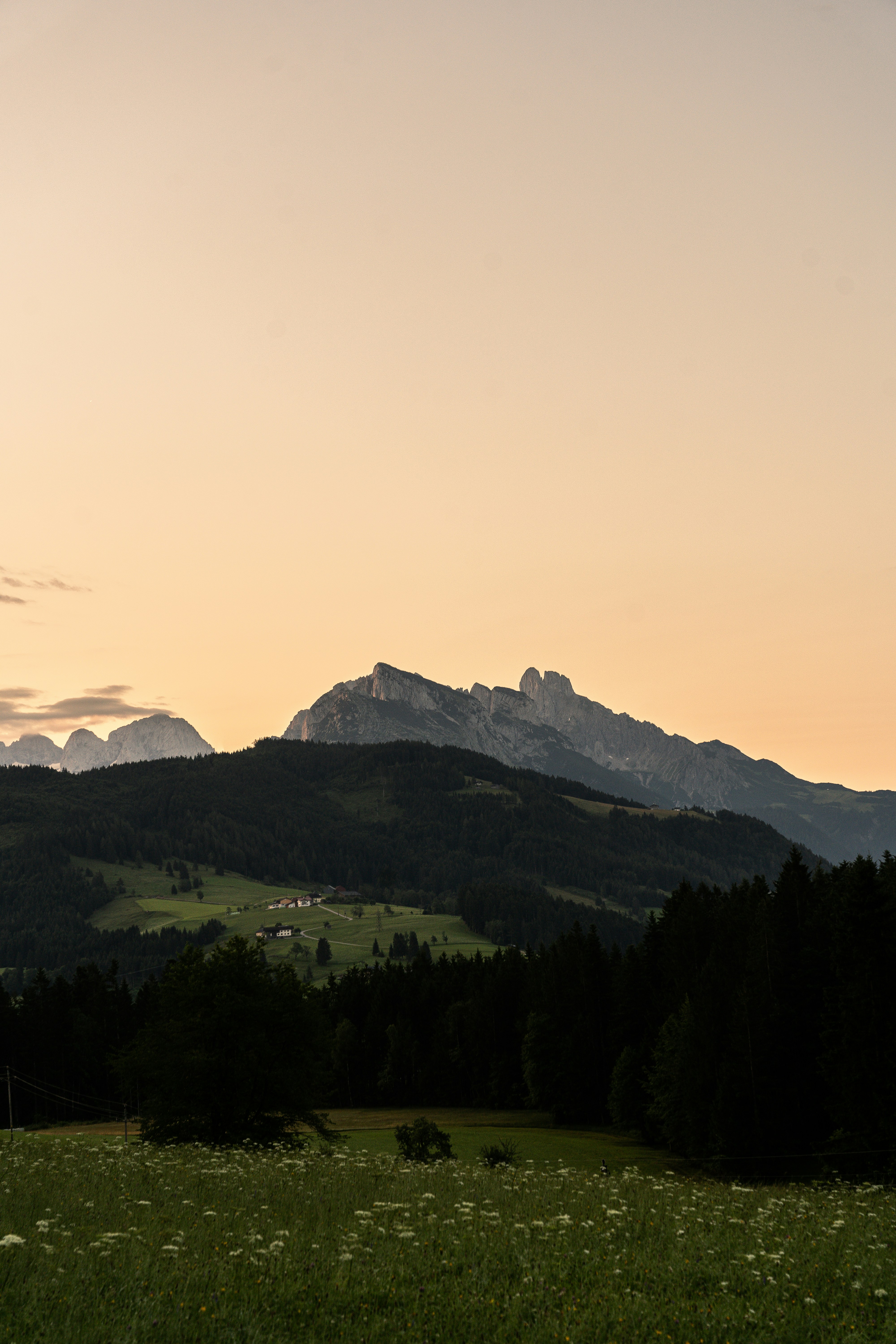 a grassy field with mountains in the background