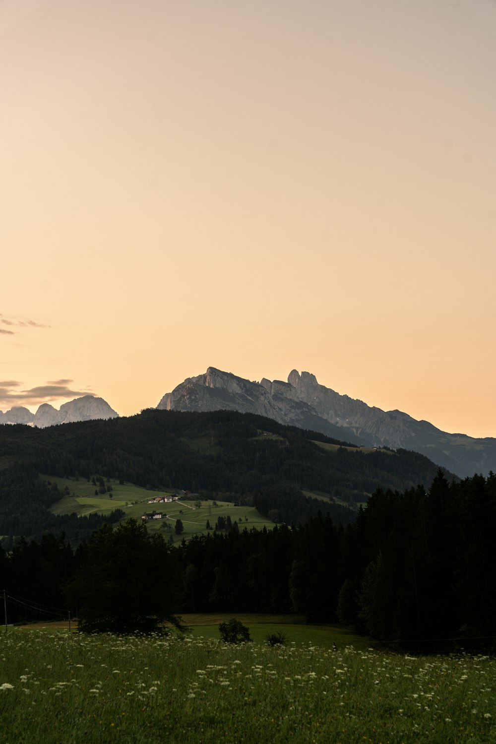 a grassy field with mountains in the background