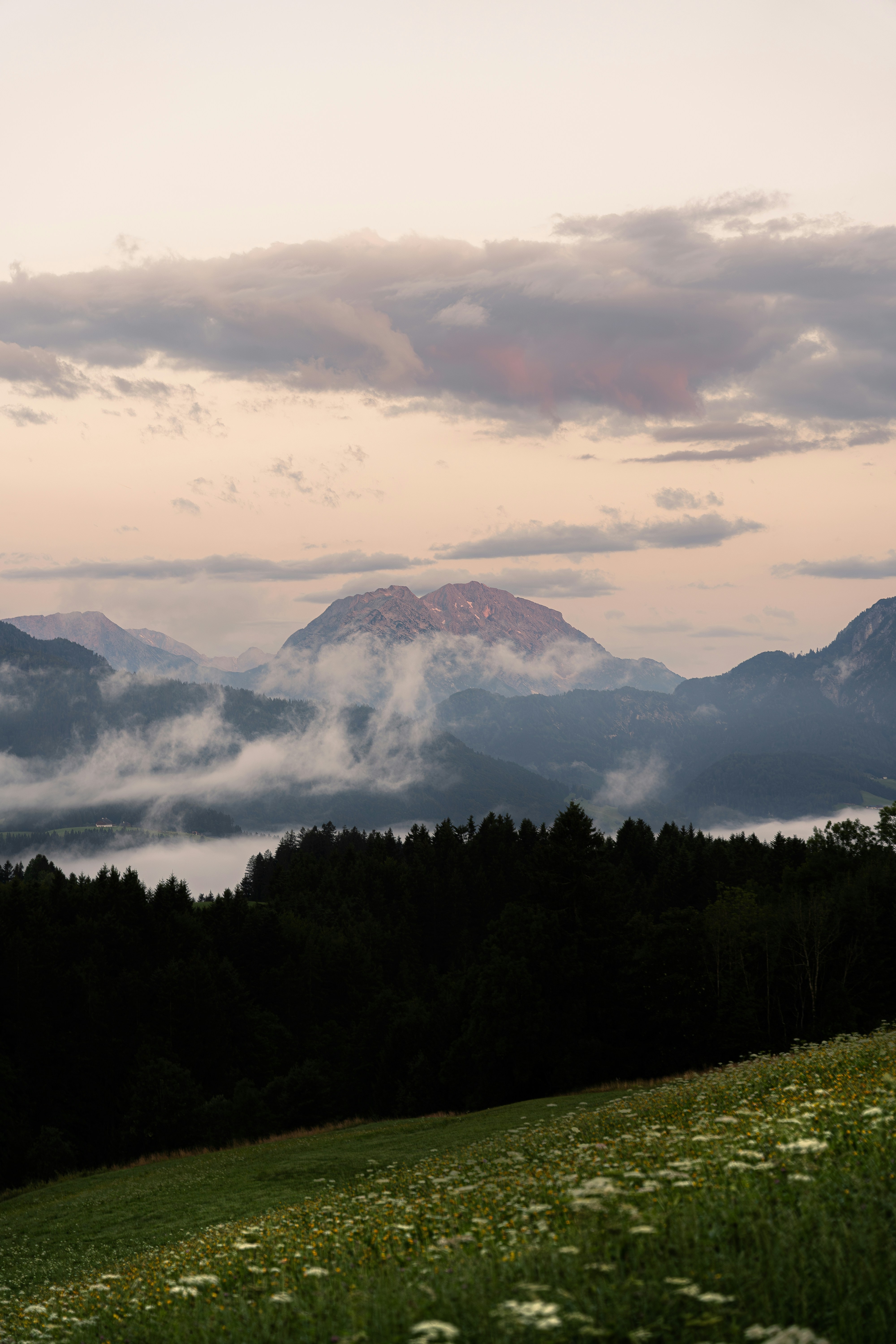 a grassy field with a mountain range in the background