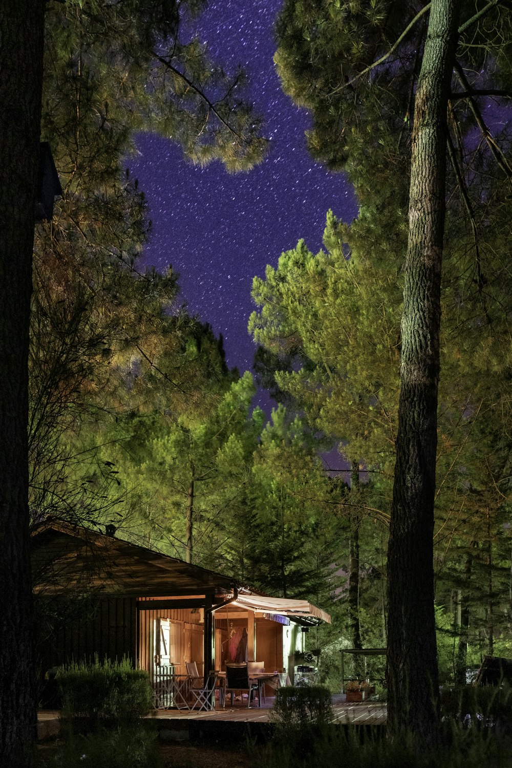 Una cabaña en el bosque por la noche con estrellas en el cielo