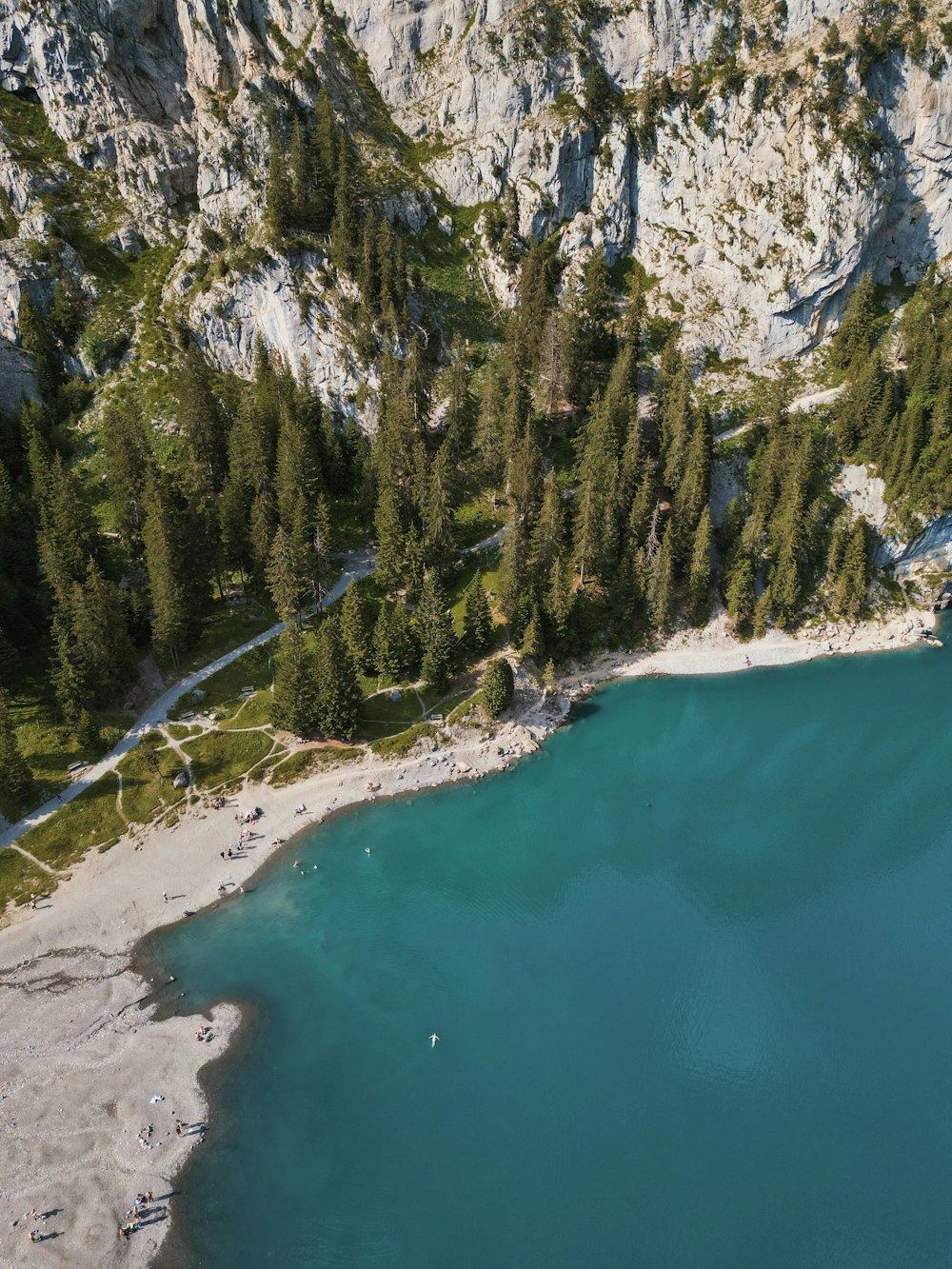 a large body of water surrounded by trees