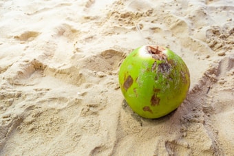 A green coconut lies on sandy beach terrain, surrounding it are ripples and footprints in the sand. The coconut has some natural brown patches and appears fresh with a small opening at the top.