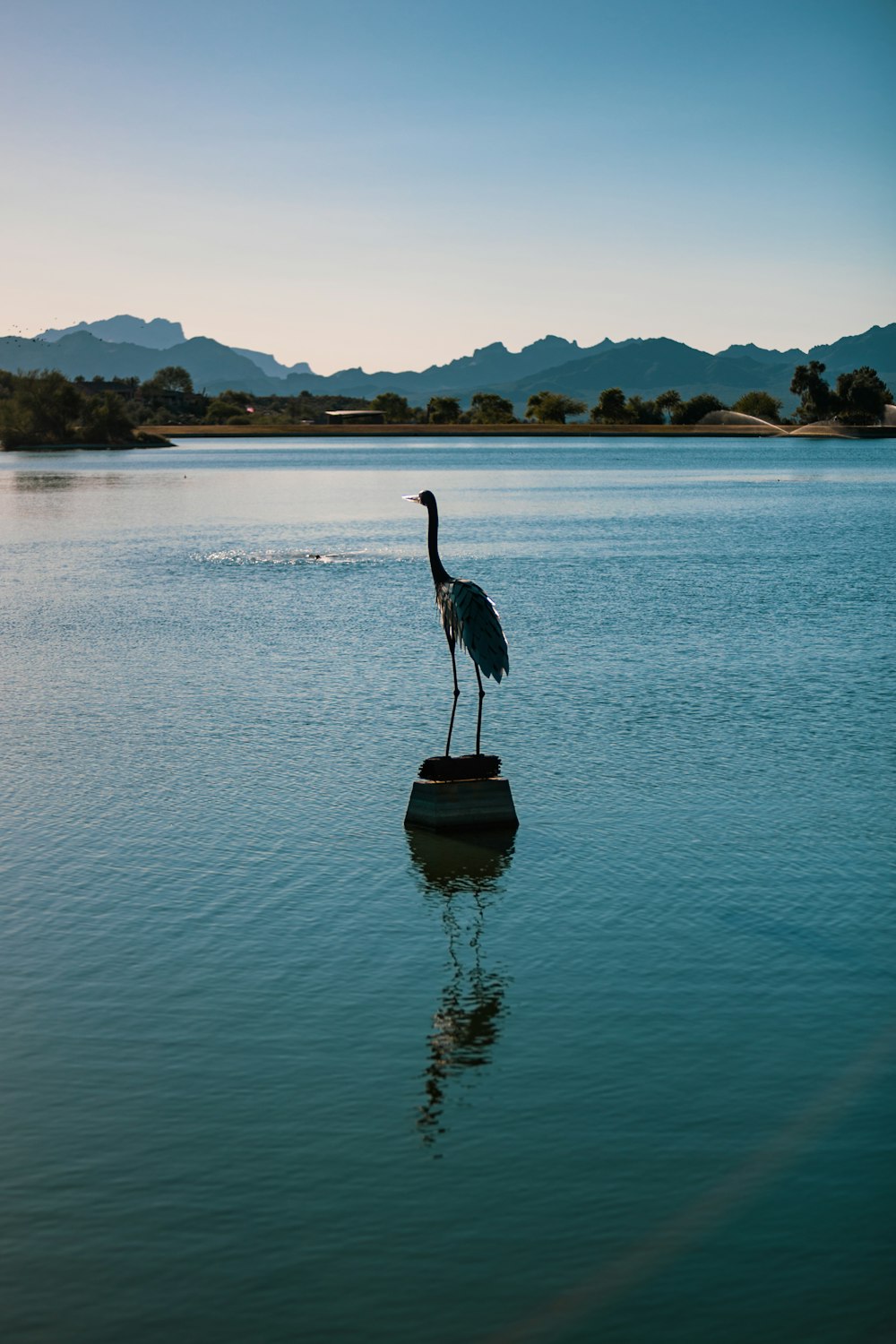 a bird standing on a rock in the middle of a lake