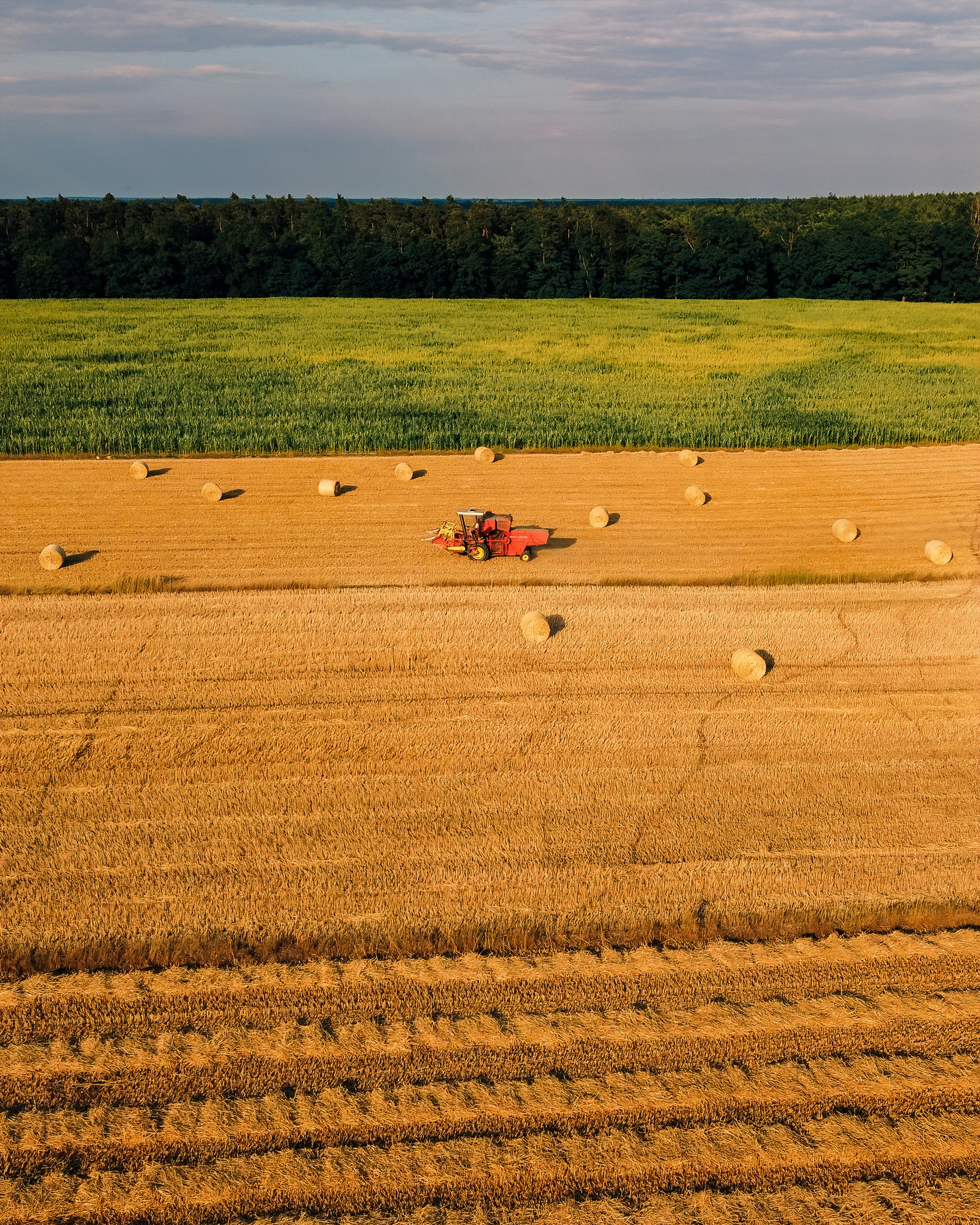 Field Notebook: Building a Portable Preservation Lab for On-Site Capture — Hands-On Review