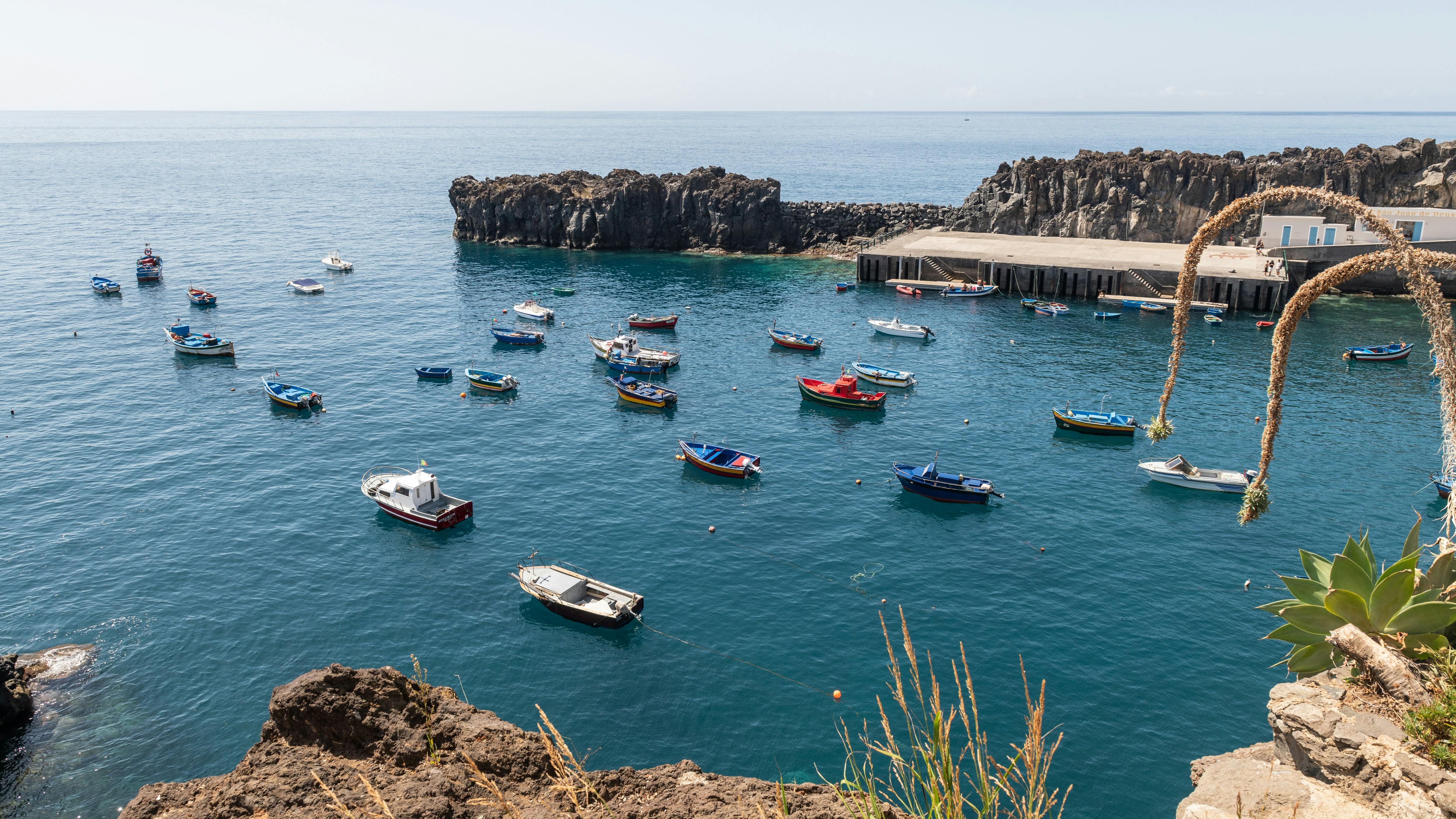 Photo by nikonprophoto