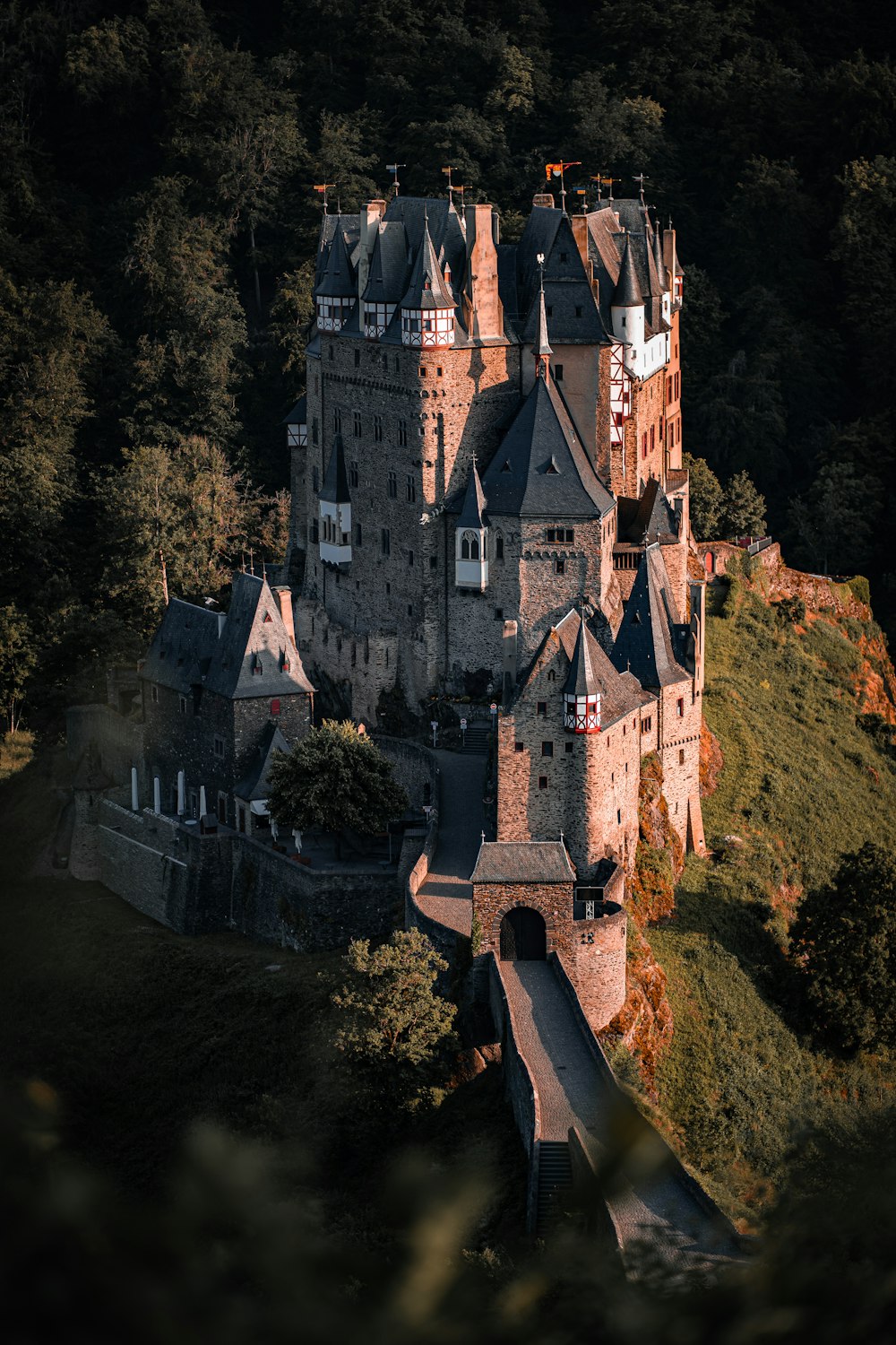 an aerial view of a castle in the middle of a forest