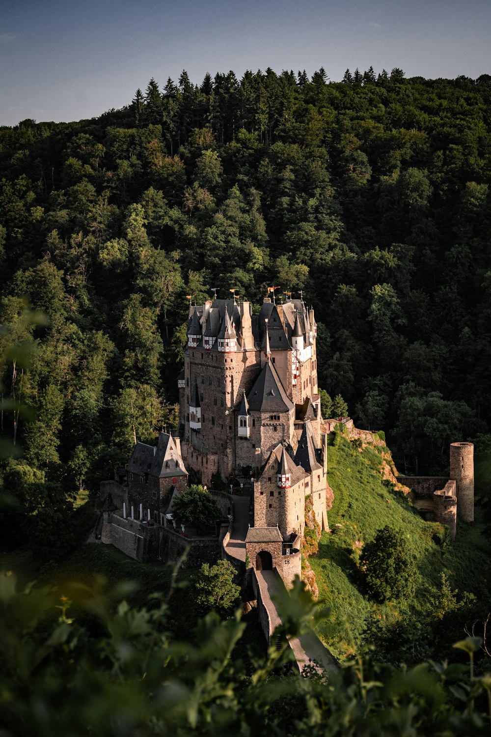 Una veduta aerea di un castello nel mezzo di una foresta