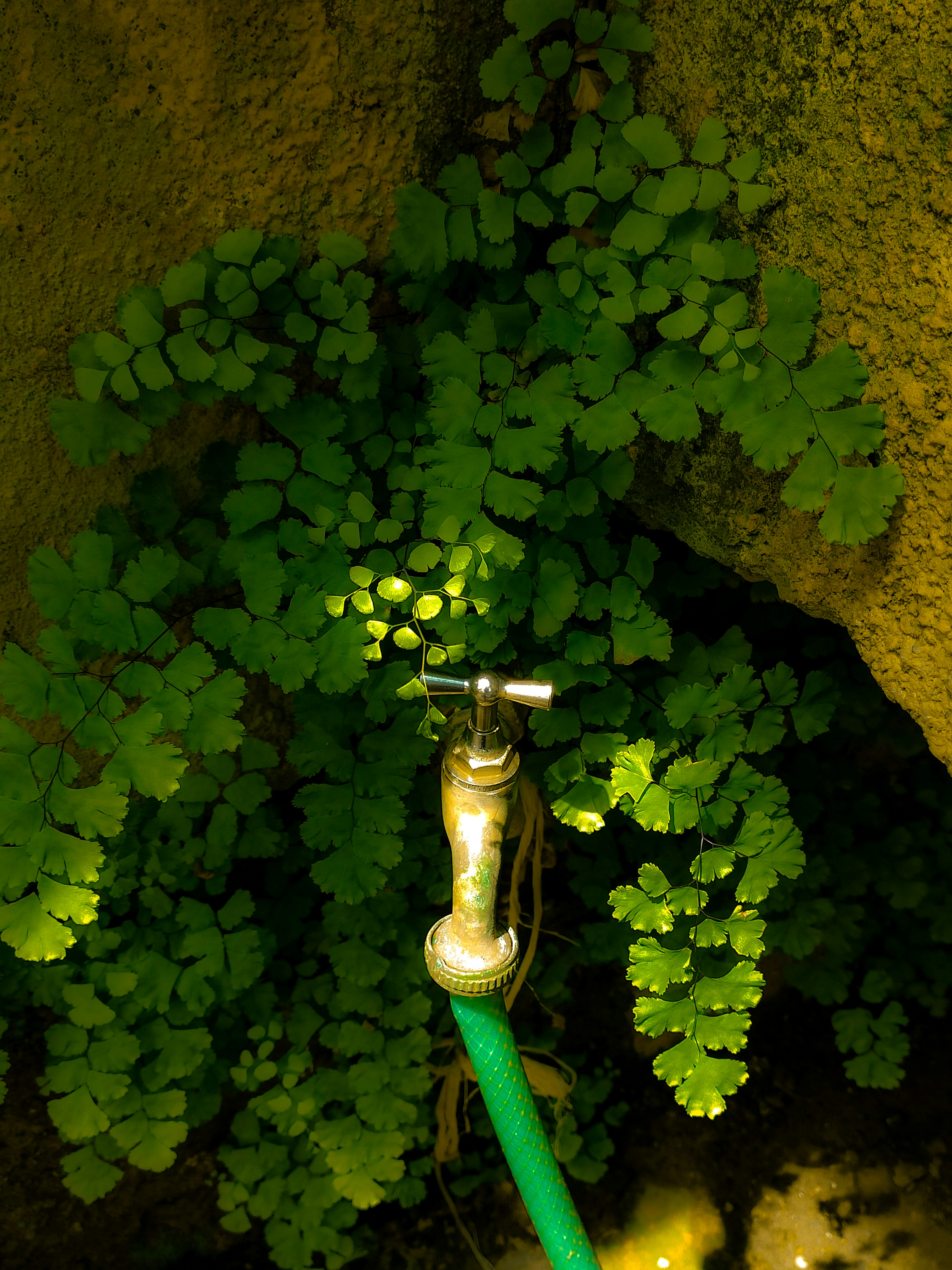 The Best LinkTap G2 Smart Water Timer in USA: 2026
