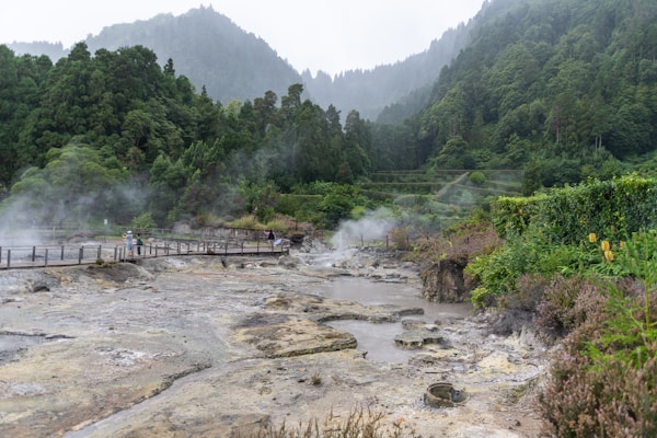 A scenic view of a geothermal area with steam rising from the ground. The landscape is lush and green with dense forested hills in the background. A wooden walkway runs across the scene, with a couple of people walking on it, observing the steamy grounds.