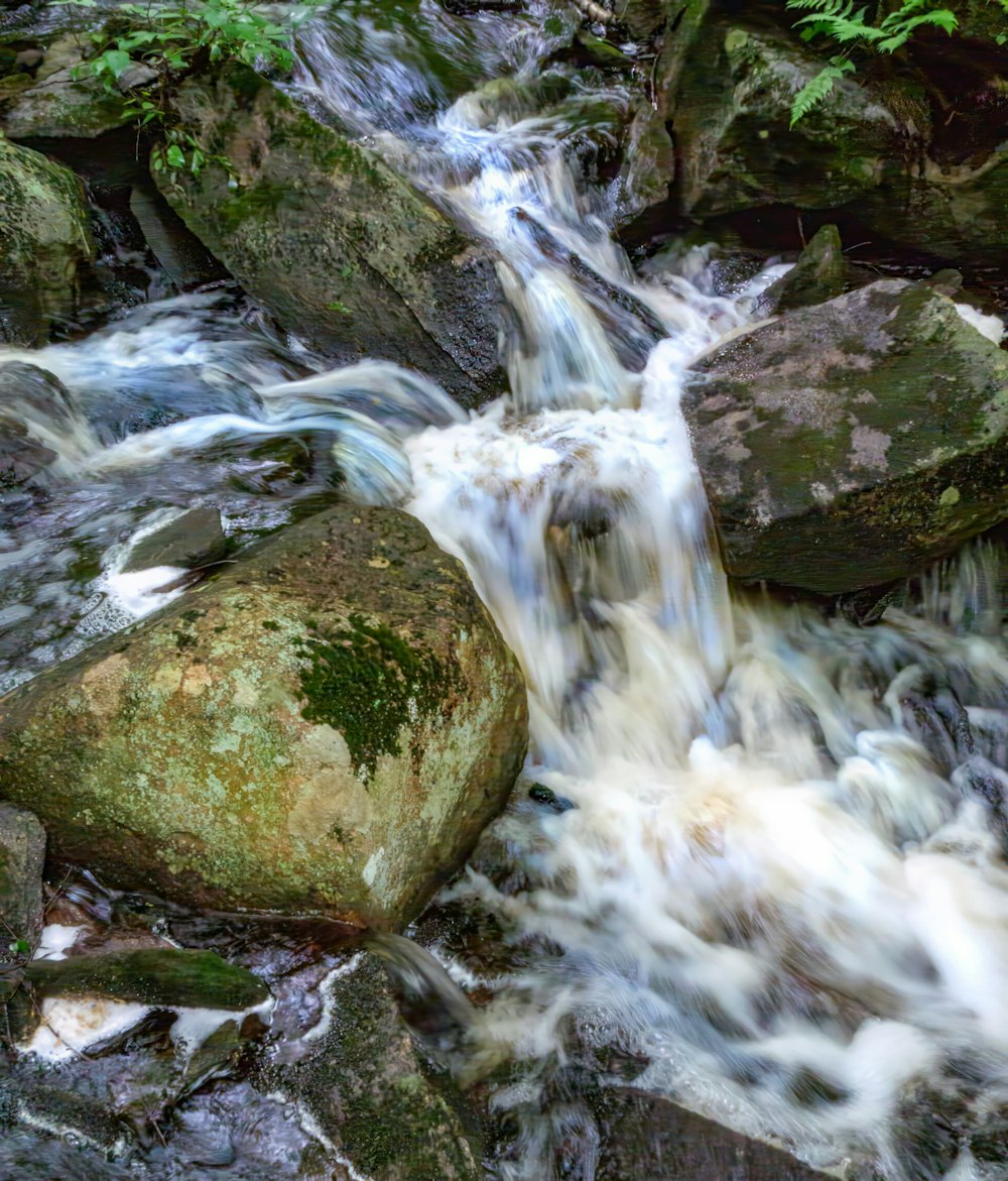 a stream of water running over rocks in a forest