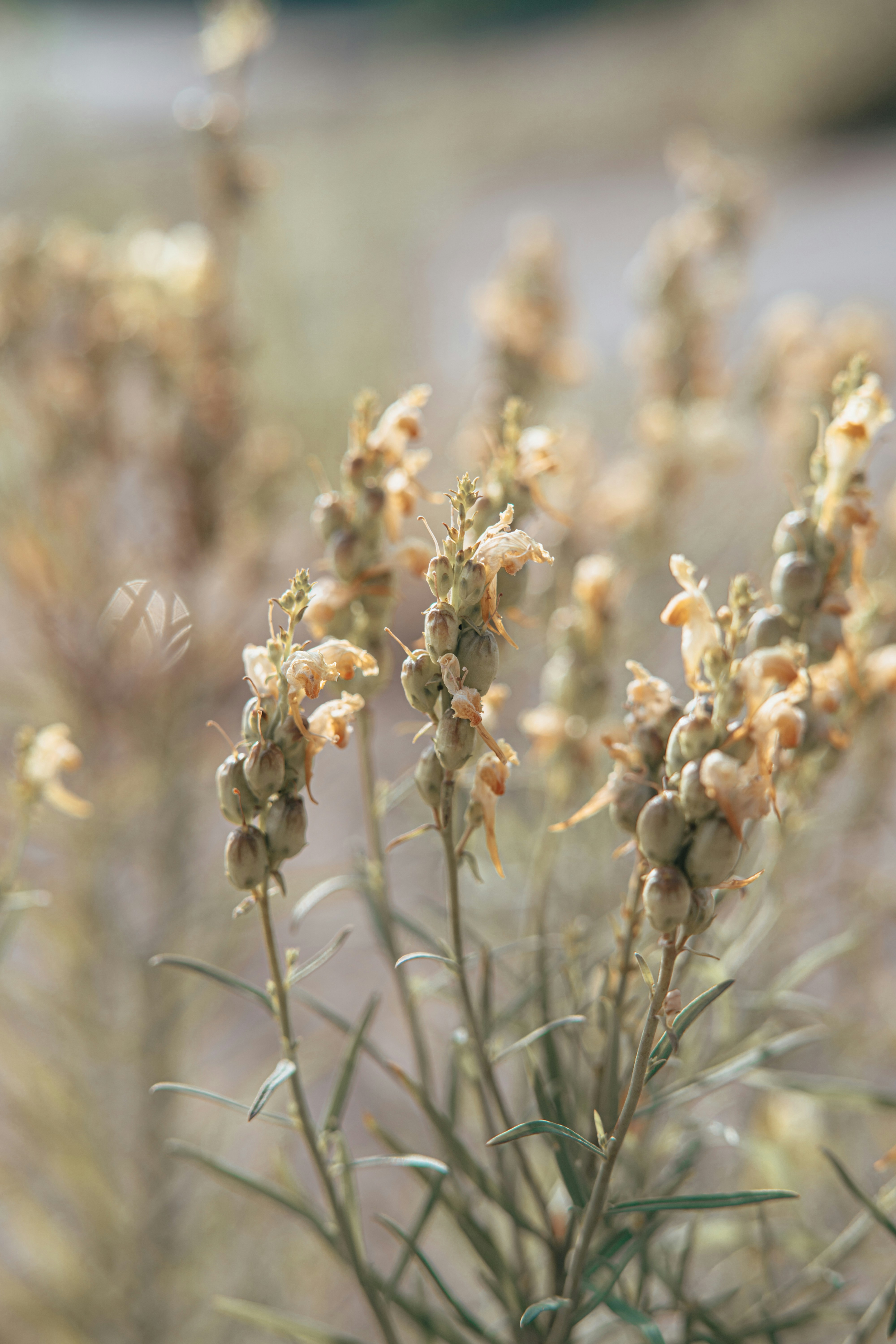 Photo by anamnesis33