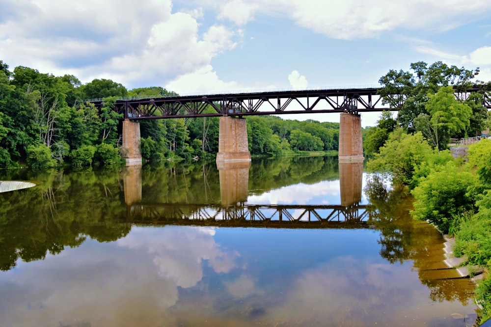 a bridge over a river surrounded by trees