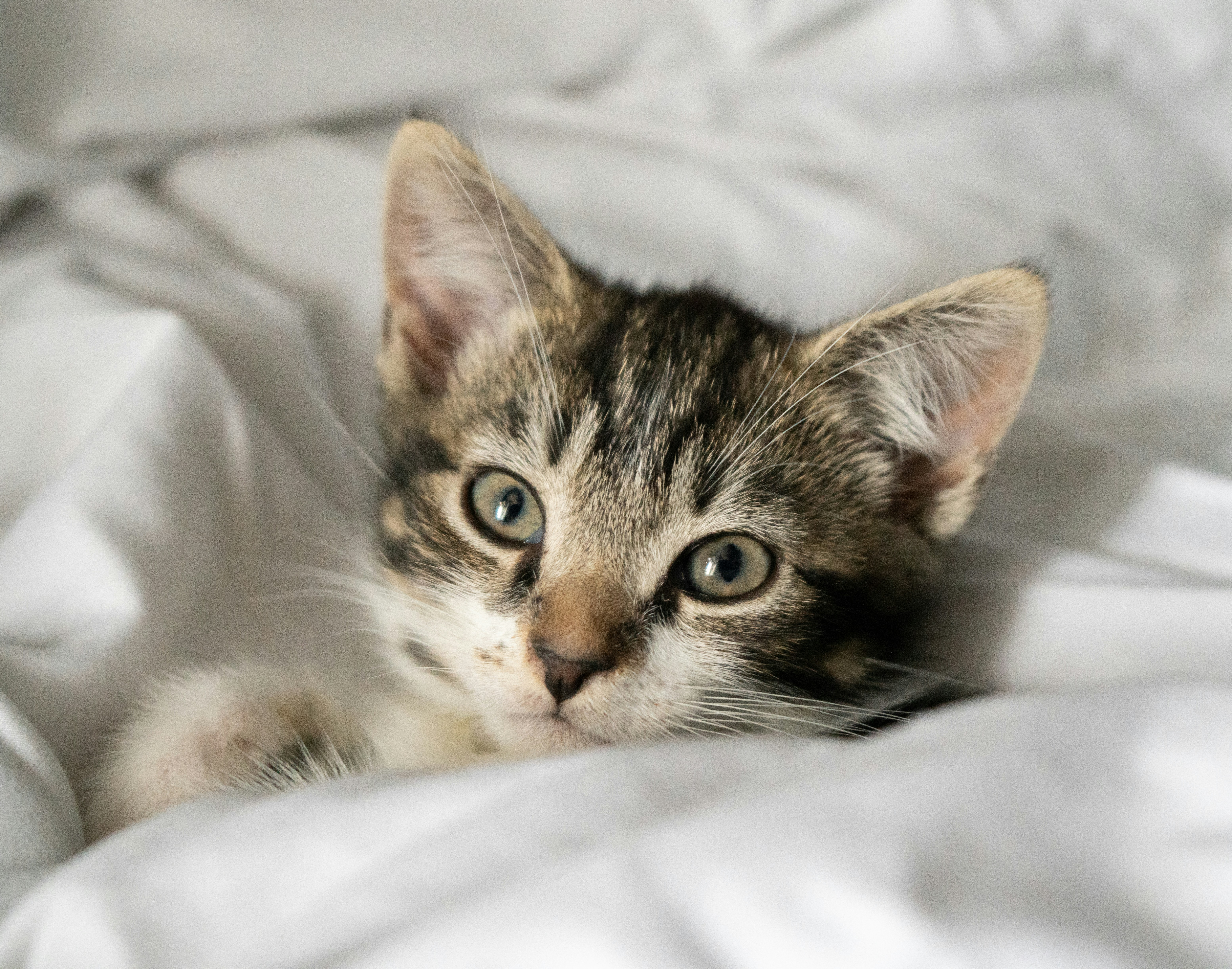 Photo by jagjeetdhuna