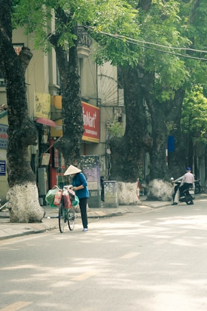 A person wearing a traditional conical hat pushes a bicycle loaded with goods on a tree-lined street. The scene includes a sidewalk, a storefront with a red sign, and a person on a motorbike in the background. The street is shaded by large trees with lush green leaves.