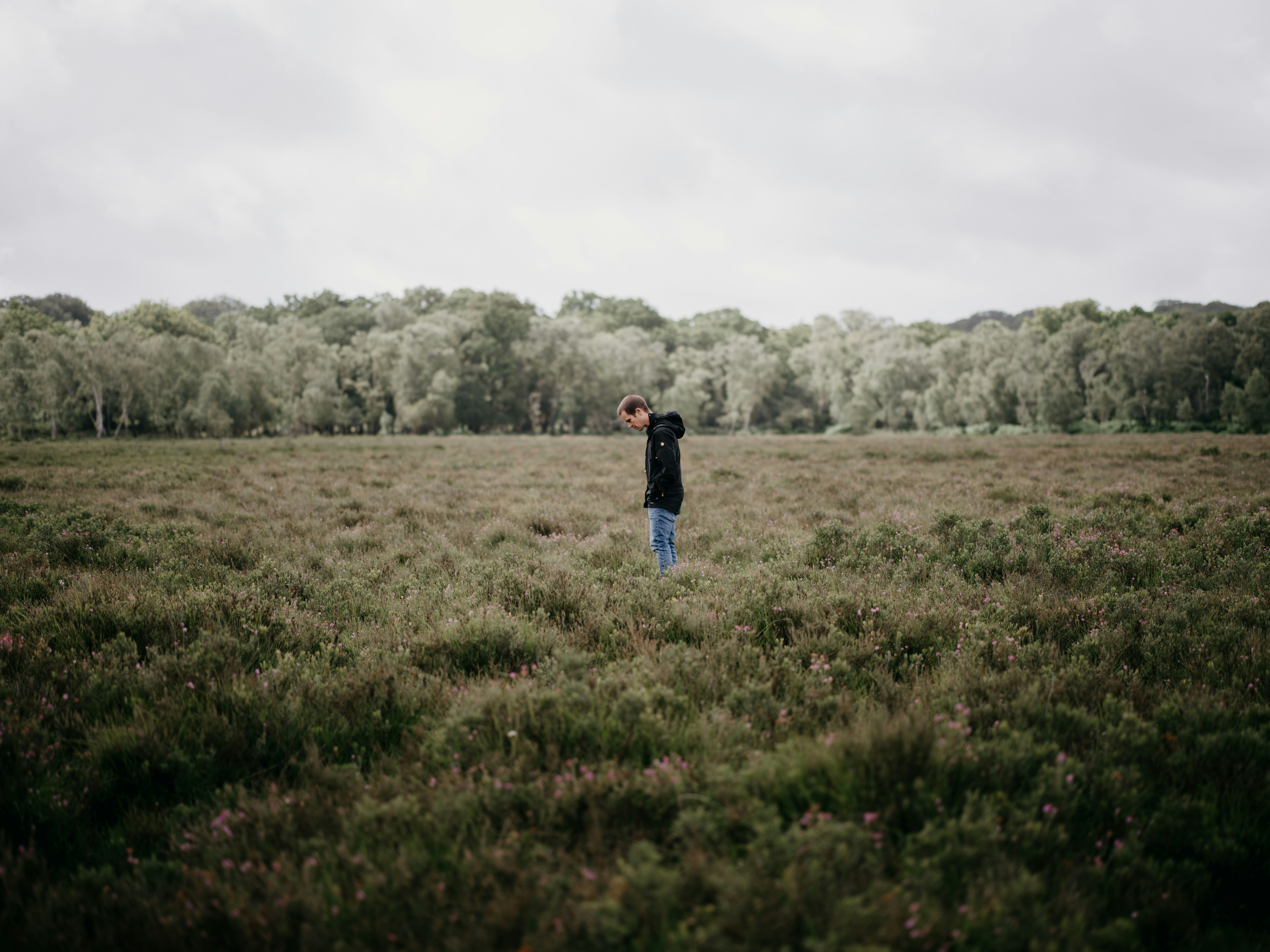 Photo by anniespratt