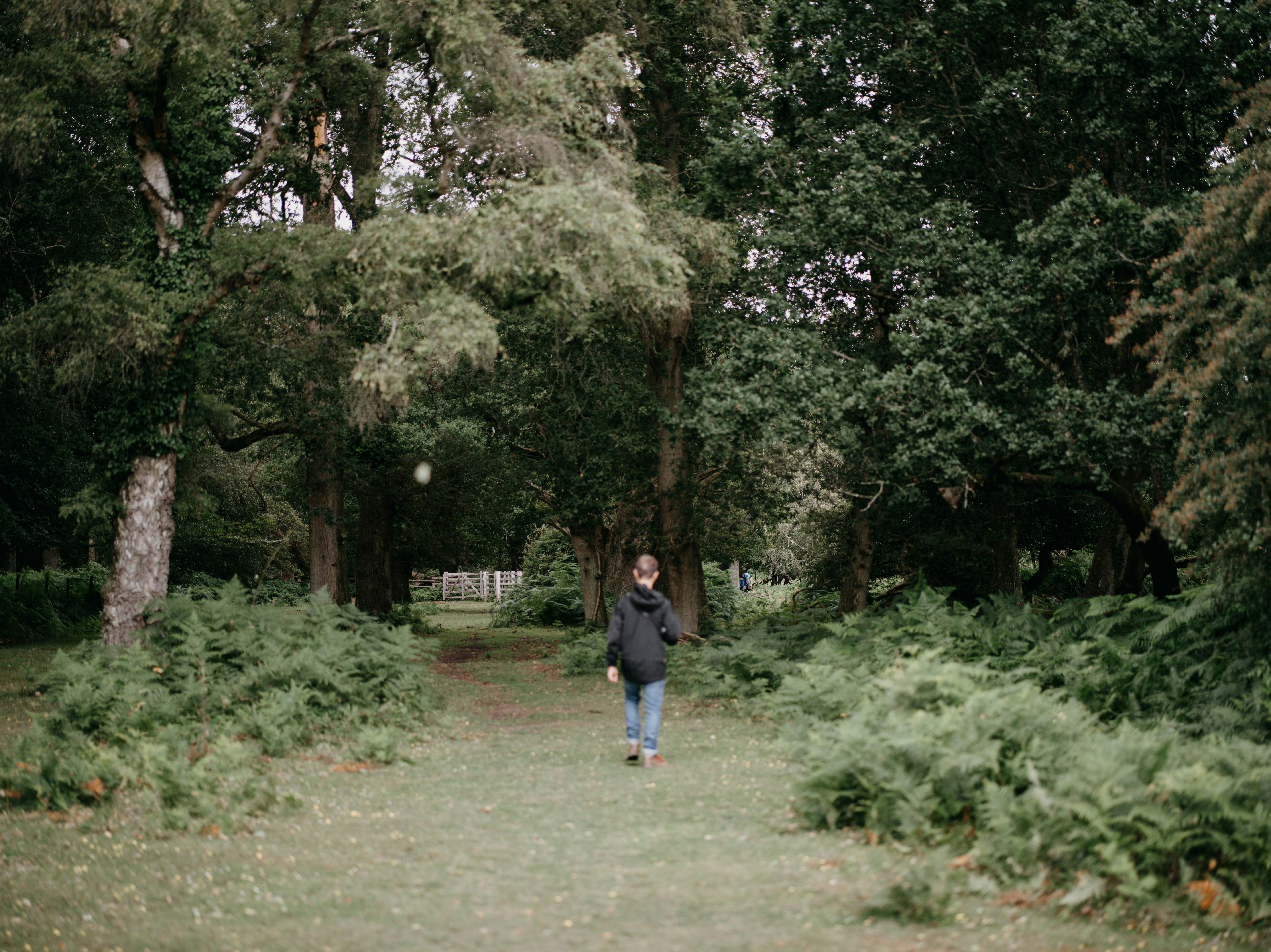 Photo by anniespratt