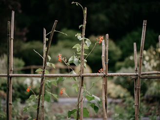 a close up of a wooden fence with flowers growing on it