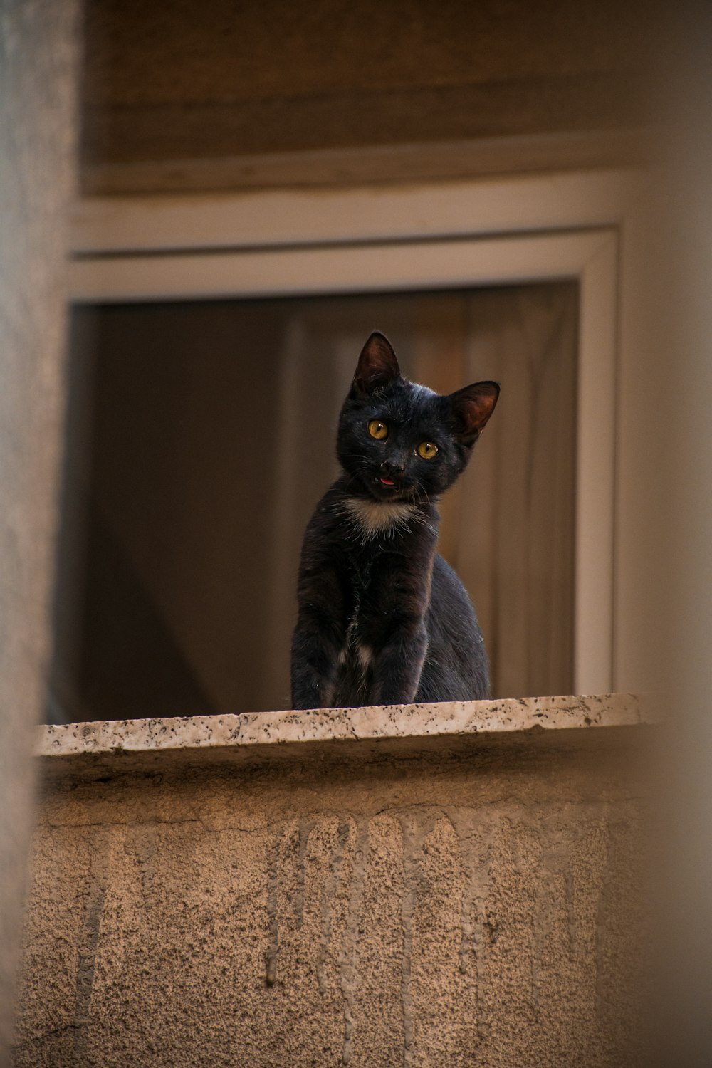 a black cat sitting on top of a window sill