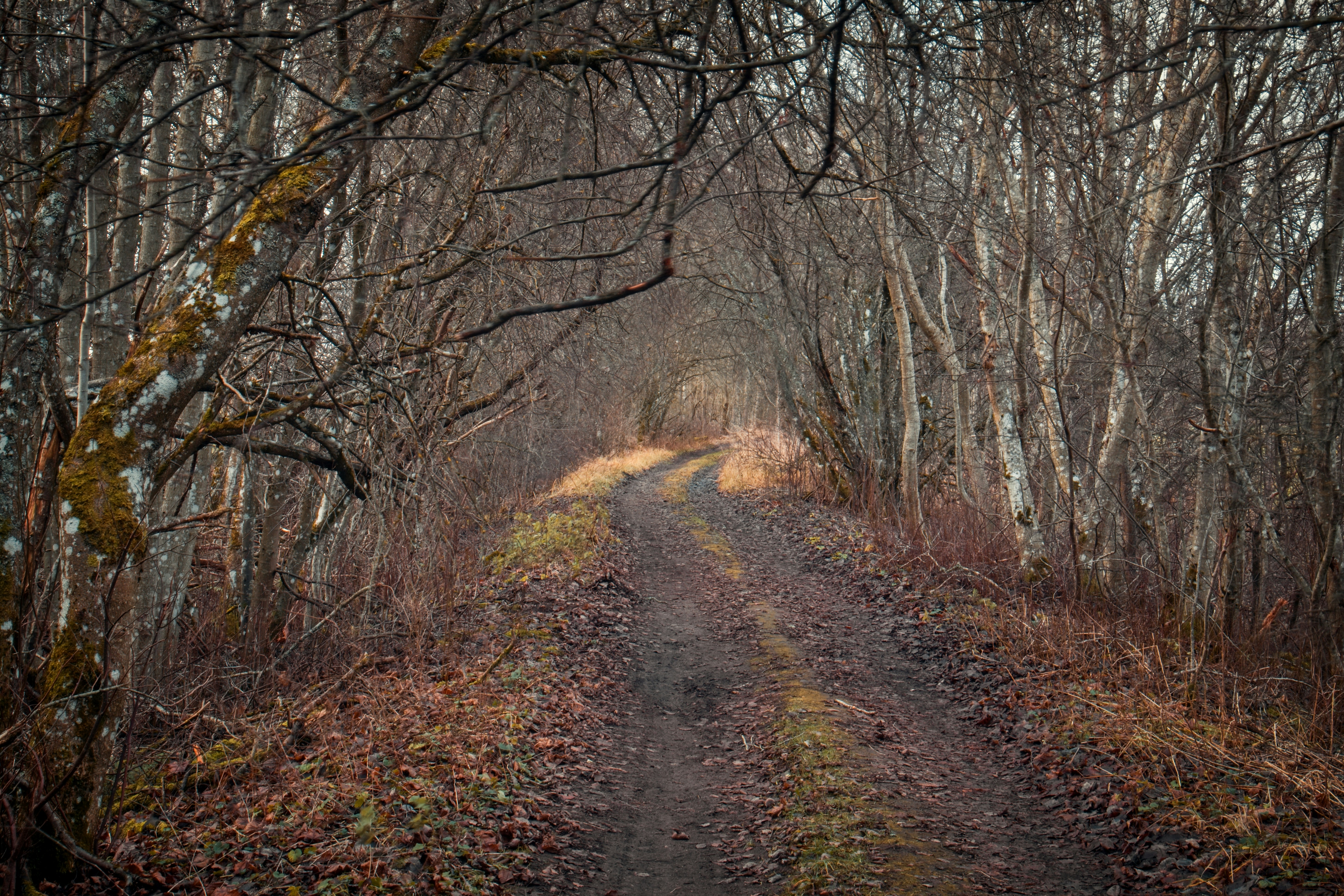 Photo by andruslukas