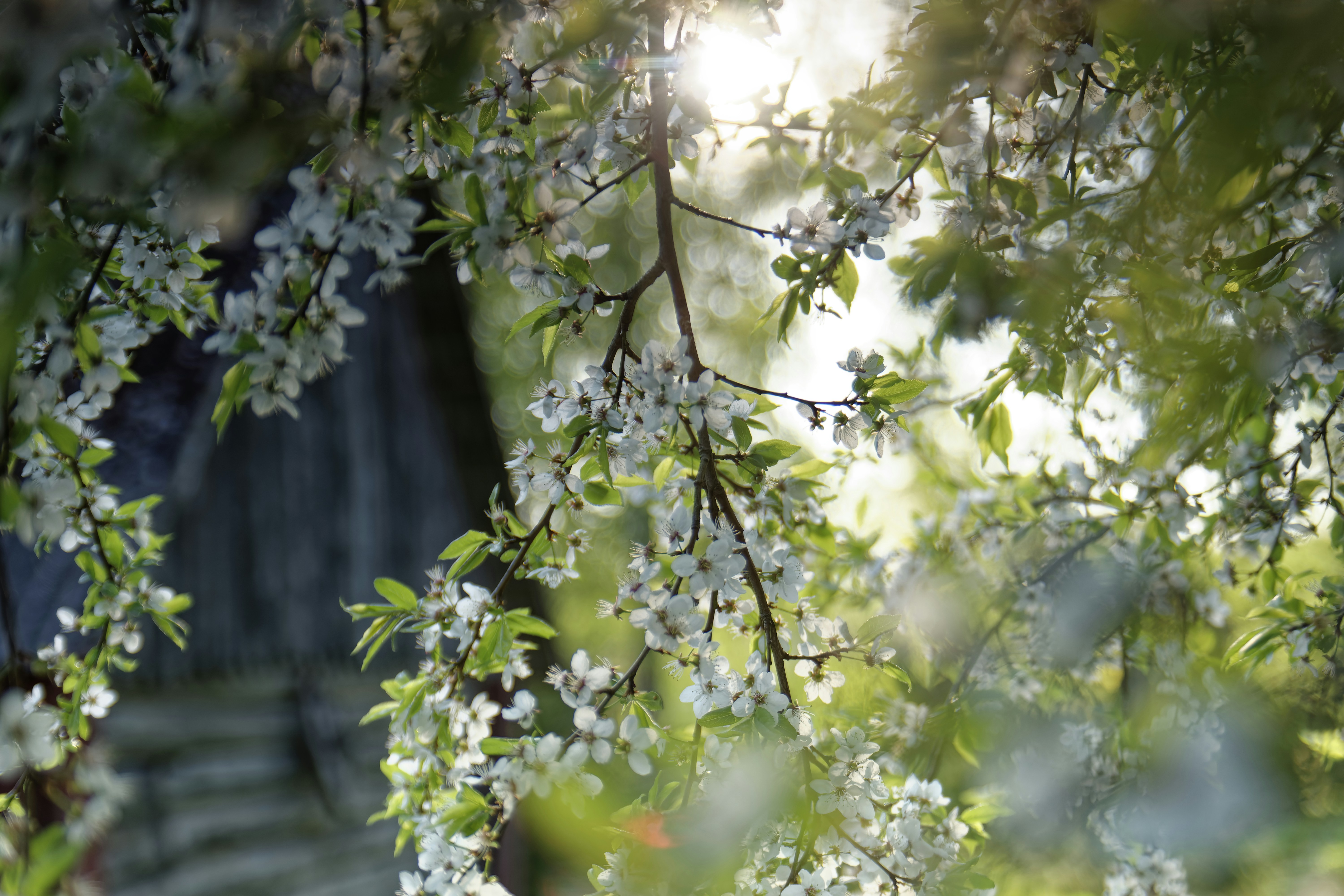 Photo by andruslukas