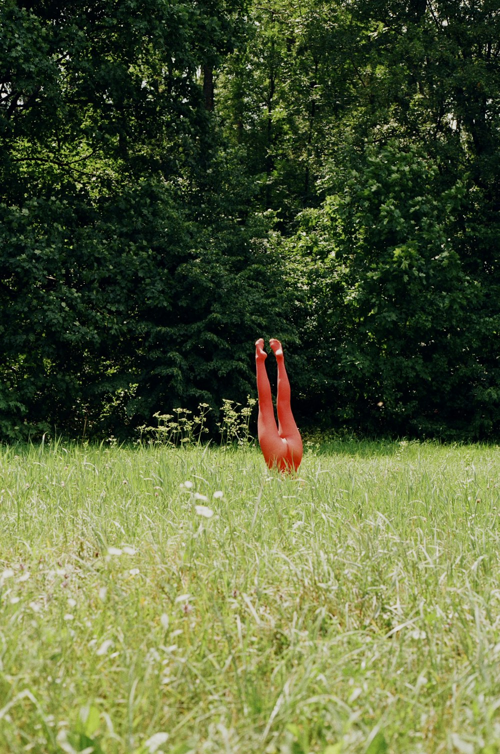 a large red object in the middle of a field