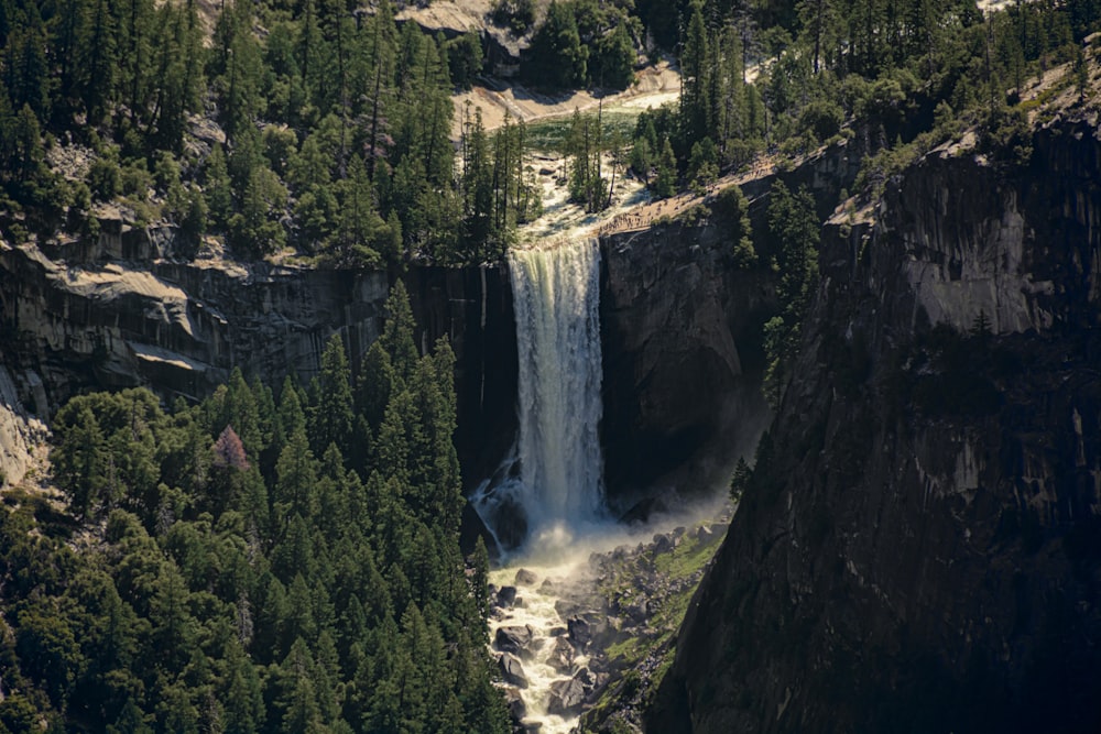 a waterfall in the middle of a forest