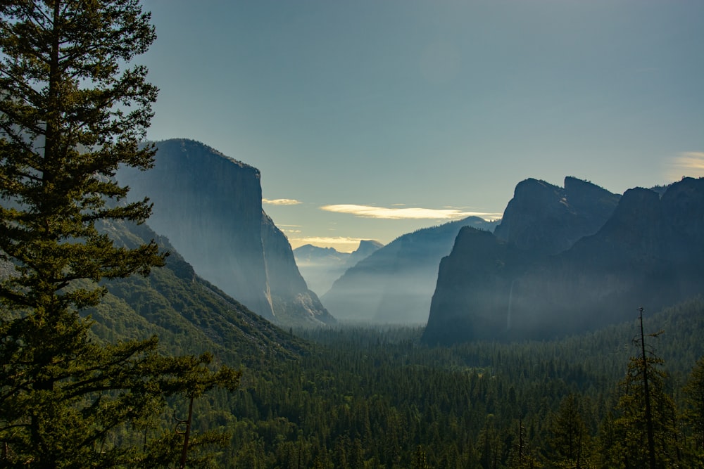 a view of a valley with mountains in the background