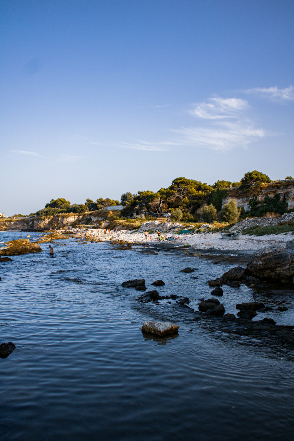 a body of water surrounded by trees and rocks