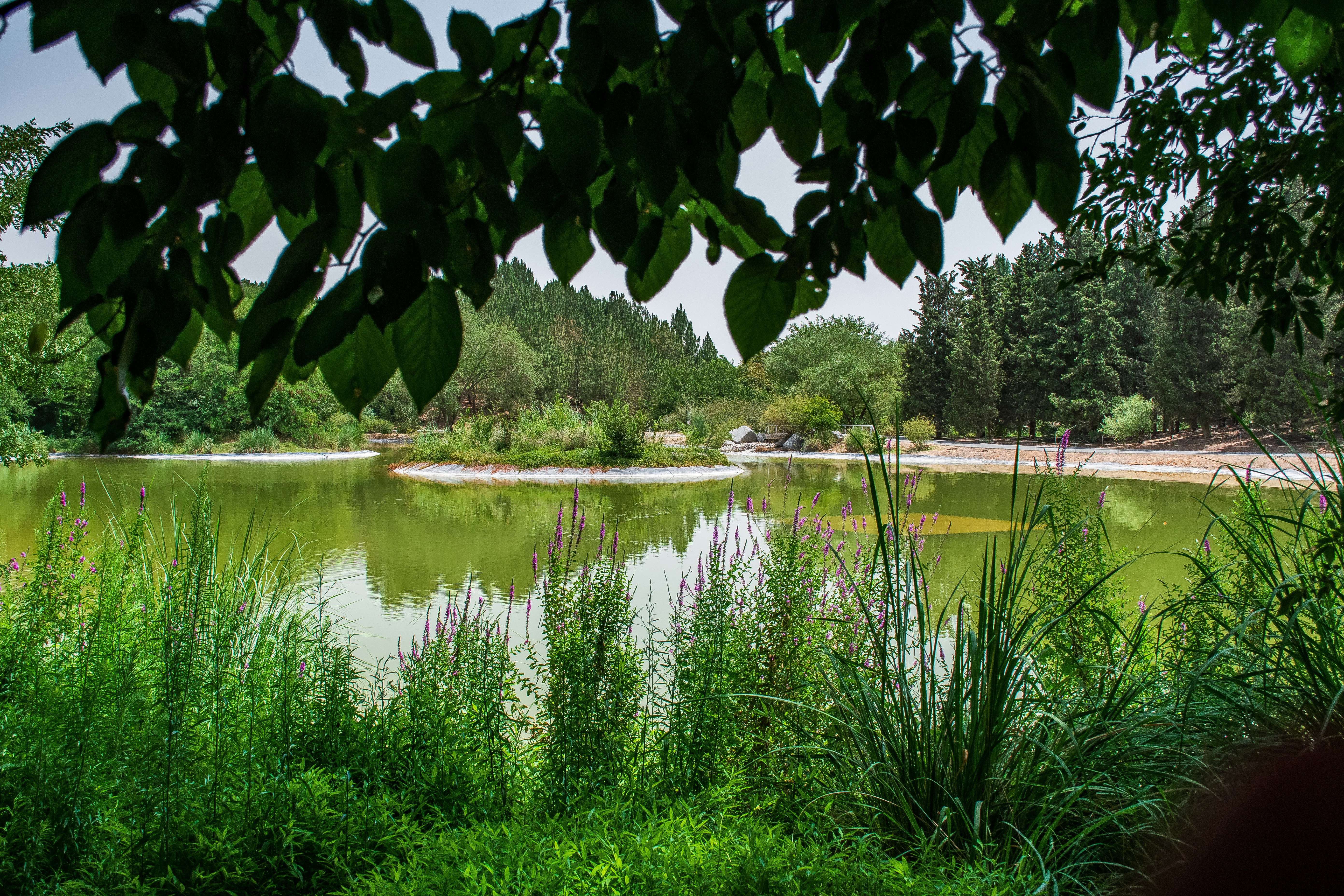 Photo by mohamadaminsajad_ir