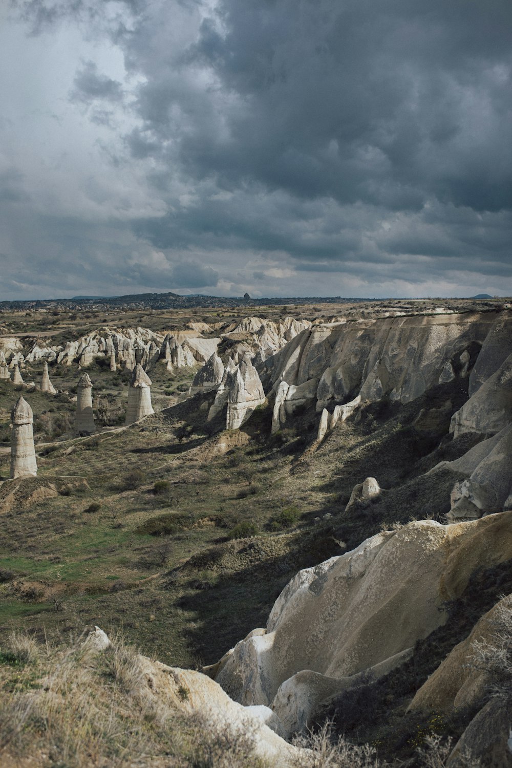 a large group of rocks in the middle of a field