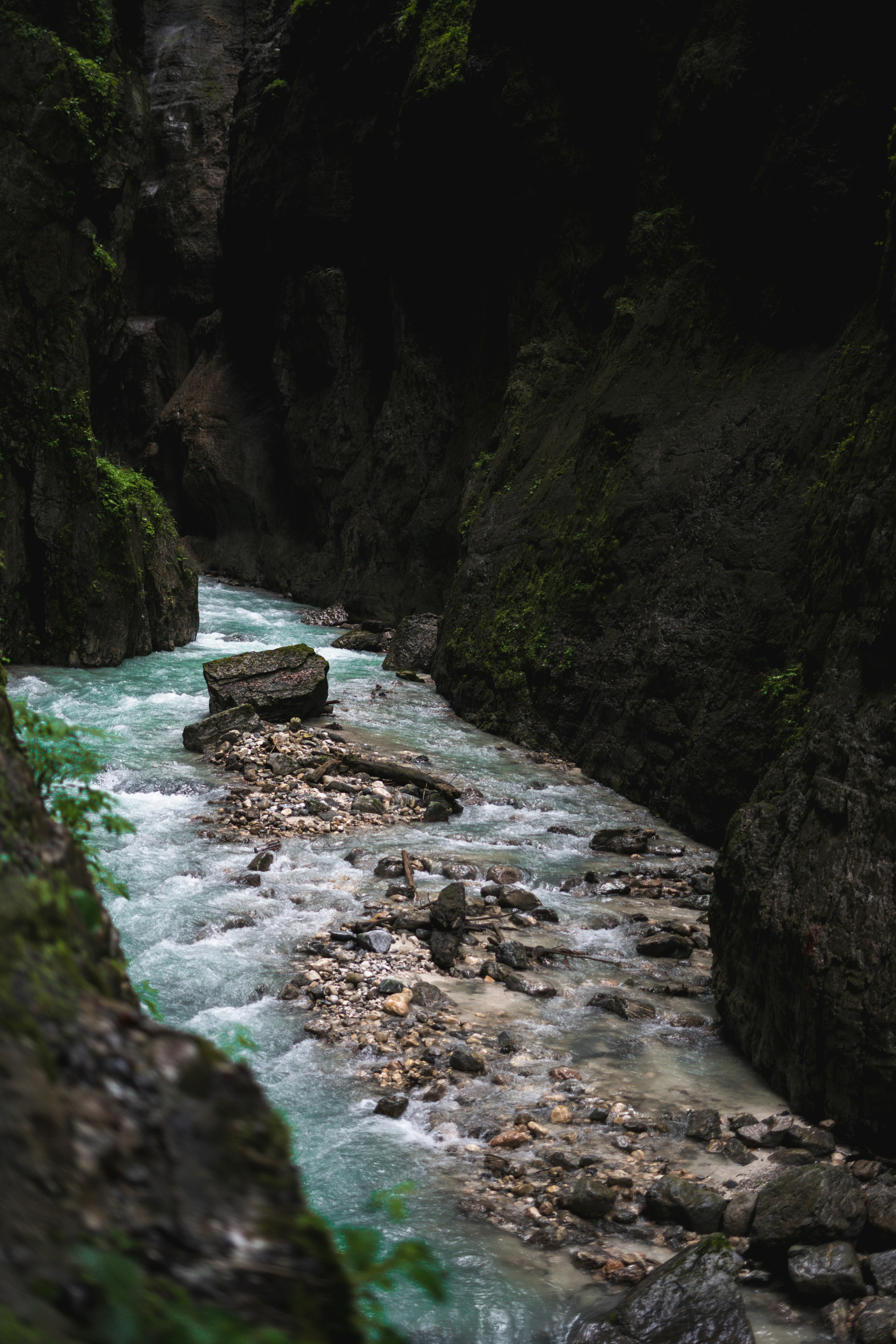 a river flowing through a lush green forest