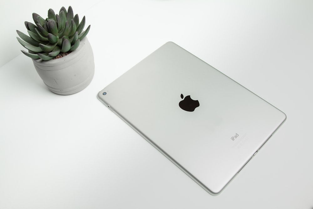 an apple laptop sitting on a table next to a potted plant