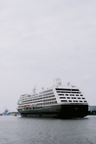 A large cruise ship travels across a calm body of water, with a few buildings visible in the distant background sky. The ship has multiple decks and appears to be carrying passengers, as indicated by people and lifeboats visible on the side.