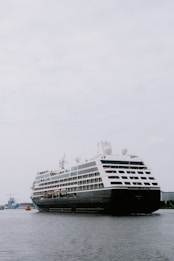 A large cruise ship travels across a calm body of water, with a few buildings visible in the distant background sky. The ship has multiple decks and appears to be carrying passengers, as indicated by people and lifeboats visible on the side.