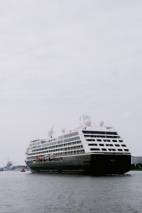 A large cruise ship travels across a calm body of water, with a few buildings visible in the distant background sky. The ship has multiple decks and appears to be carrying passengers, as indicated by people and lifeboats visible on the side.